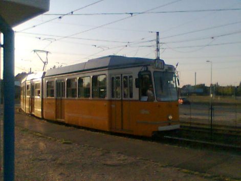 1356.jpg