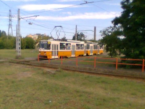 4211.jpg